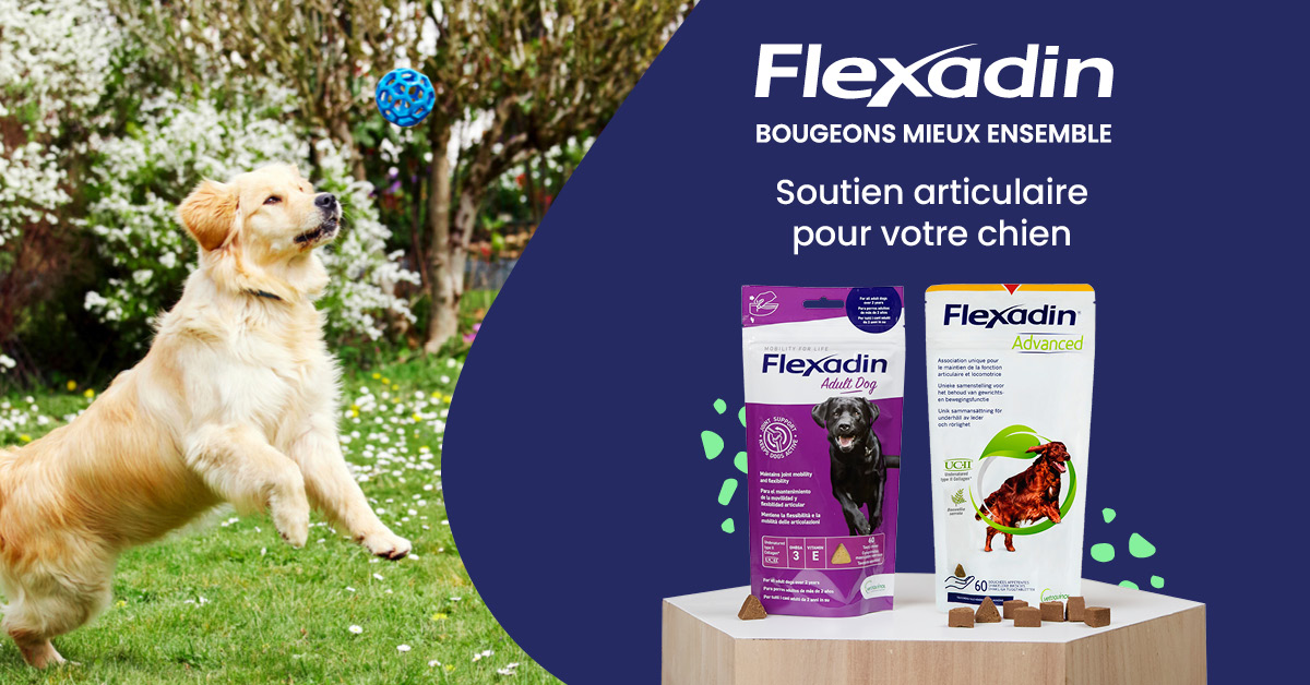 Flexadin - Soutien articulaire pour votre chien