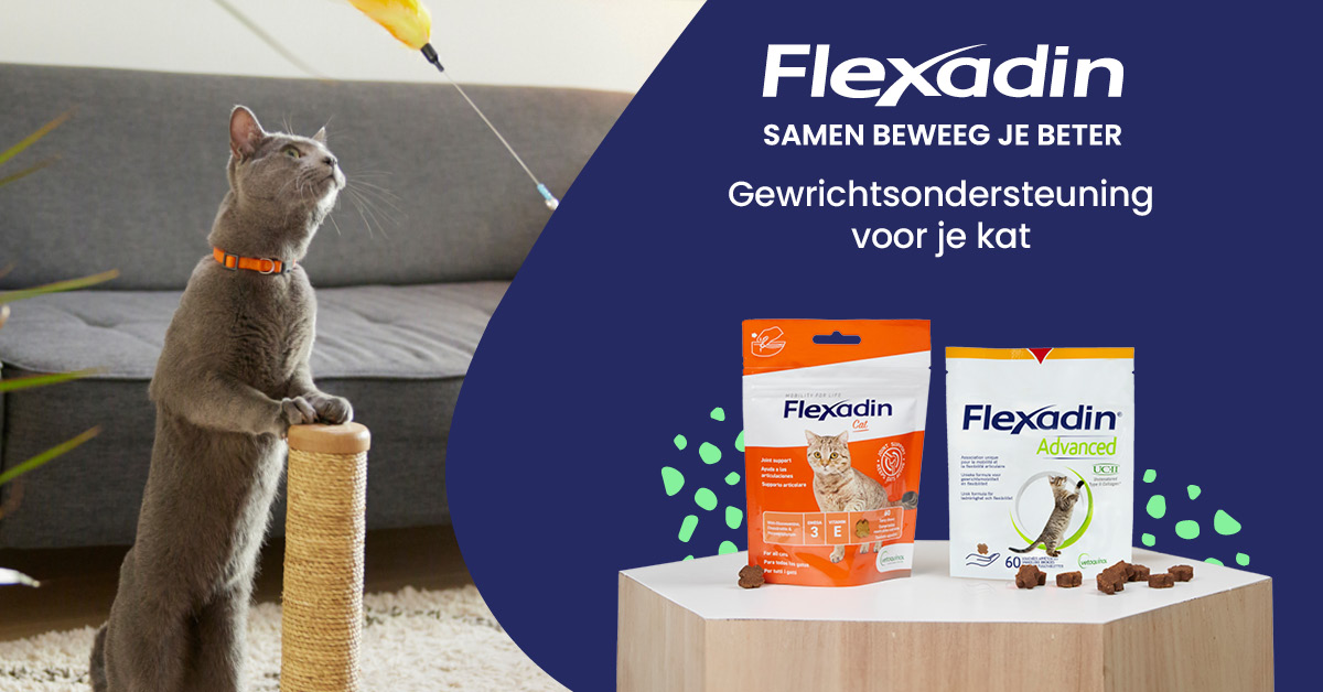 Flexadin - Gewrichtsondersteuning voor je kat